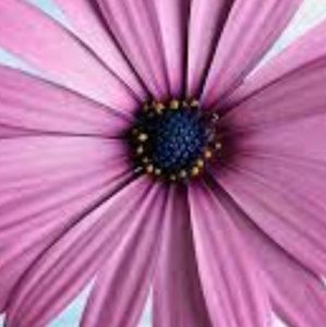 Meet your Posher, Ghada